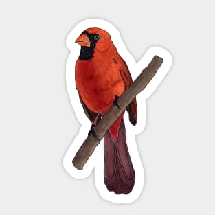 Northern Red Cardinal Perched on a Branch Detailed Illustration Sticker